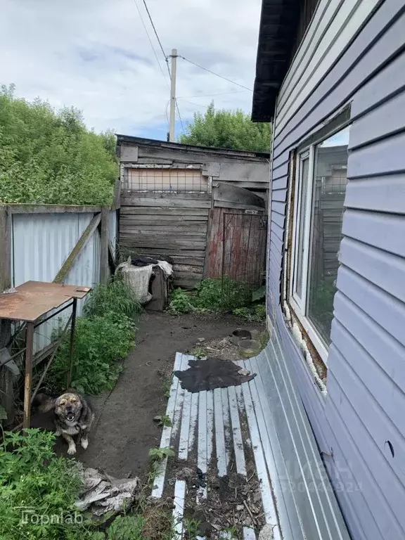 Дом в Алтайский край, Новоалтайск ул. 4-я Залинейная, 20А (53 м) - Фото 1