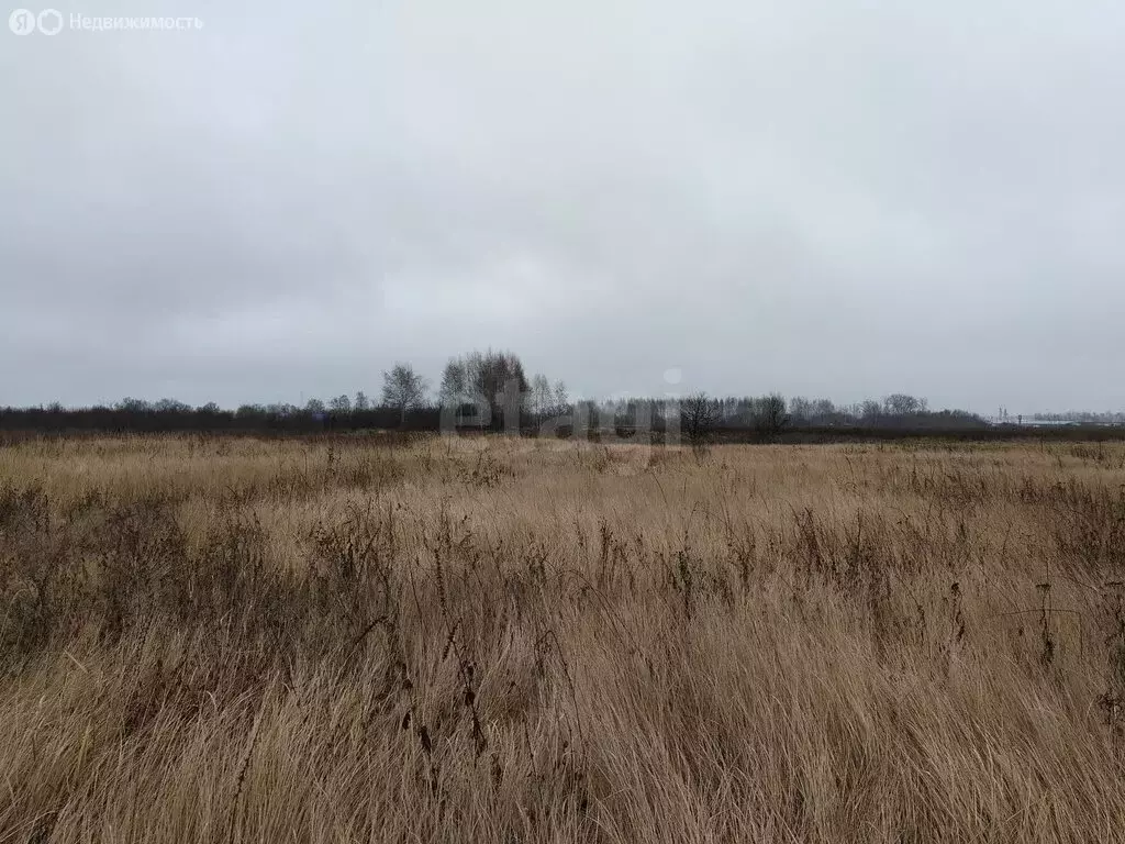 Участок в село Староживотинное, Дивнолесная улица (12.27 м) - Фото 2