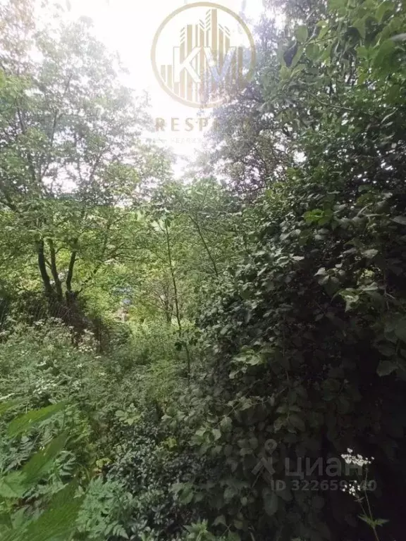 Участок в Ставропольский край, Кисловодск городской округ, пос. ... - Фото 2