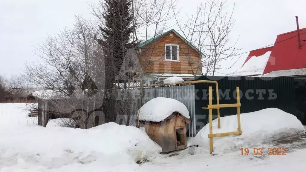 Участок в Тюменская область, Тюмень Сигнал садовое товарищество, ул. ... - Фото 1