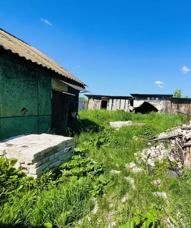 Участок в Курская область, Октябрьский район, Лобазовский сельсовет, ... - Фото 0