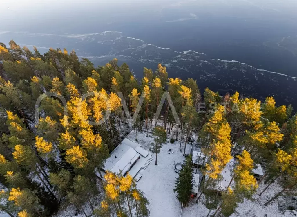 Участок в Ленинградская область, Всеволожский район, Куйвозовское ... - Фото 1