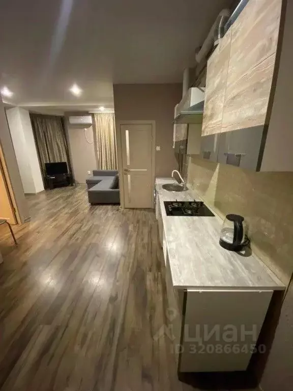 2-к кв. Краснодарский край, Сочи ул. Следопытов, 9/33 (40.0 м) - Фото 1