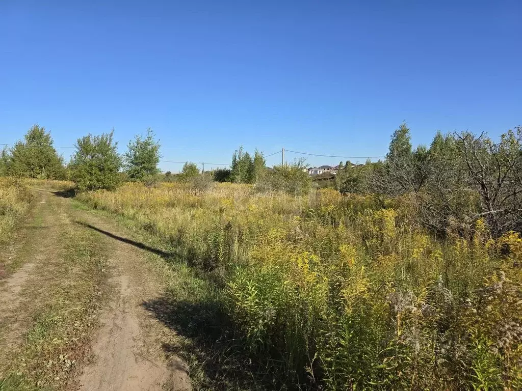 Участок в Брянская область, Брянский район, Добрунское с/пос, д. ... - Фото 2