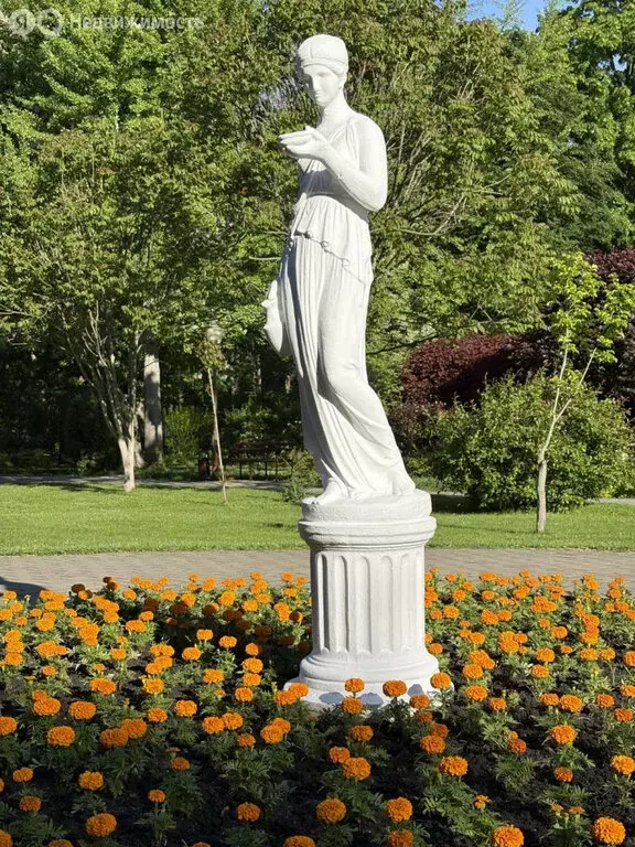 Торговая площадь (28 м) - Фото 2