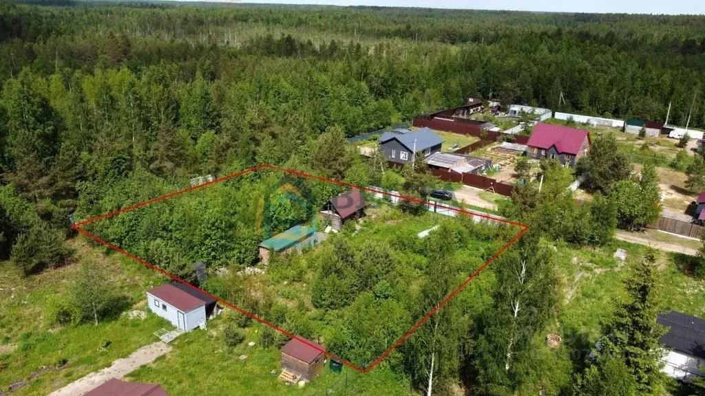 Участок в Ленинградская область, Всеволожский район, Рахьинское ... - Фото 1