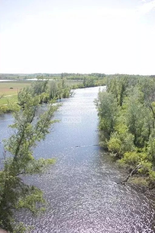 Помещение свободного назначения в Оренбургская область, Оренбургский ... - Фото 2