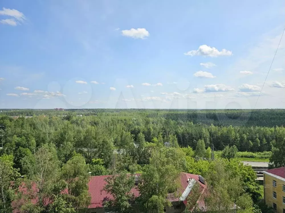 2-к. квартира, 50 м, 10/14 эт. - Фото 1
