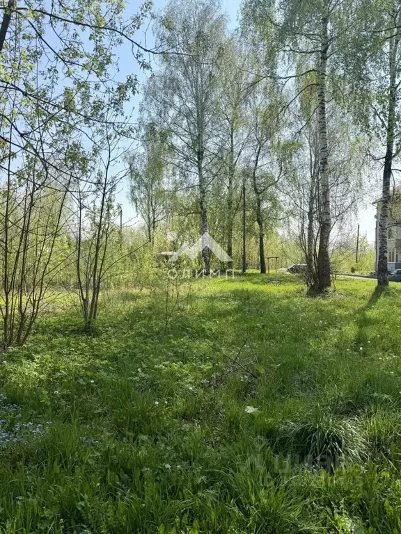 Участок в Ярославская область, Тутаевский муниципальный округ, ... - Фото 2