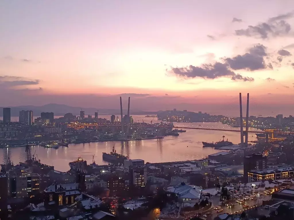 3-к кв. Приморский край, Владивосток ул. Толстого, 30 (67.9 м) - Фото 1