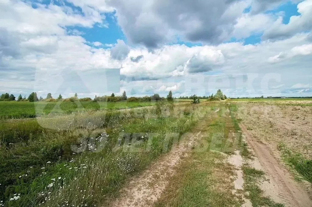 Участок в Тюменская область, Тюменский район, Воскресенье-1 ДНТ ул. ... - Фото 2