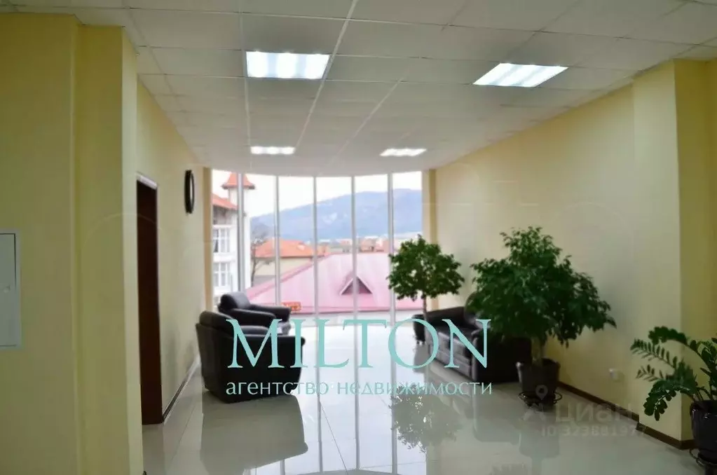 Помещение свободного назначения в Краснодарский край, Геленджик ... - Фото 2