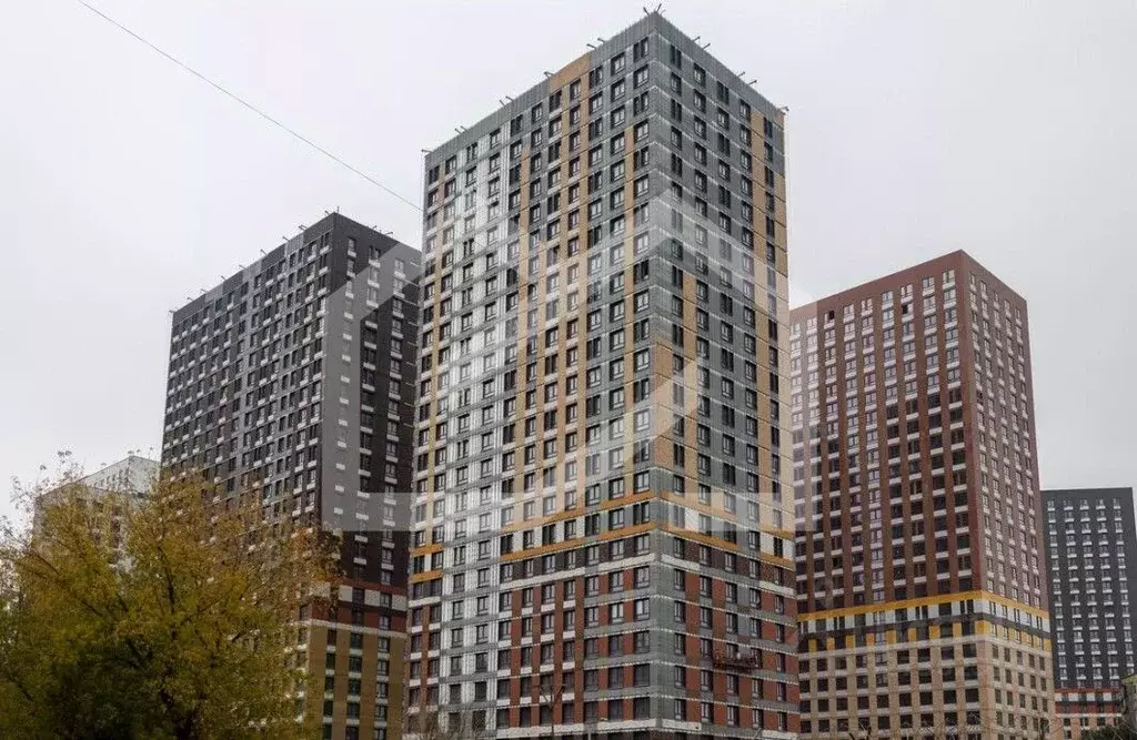 Помещение свободного назначения в Московская область, Котельники Белая ... - Фото 2