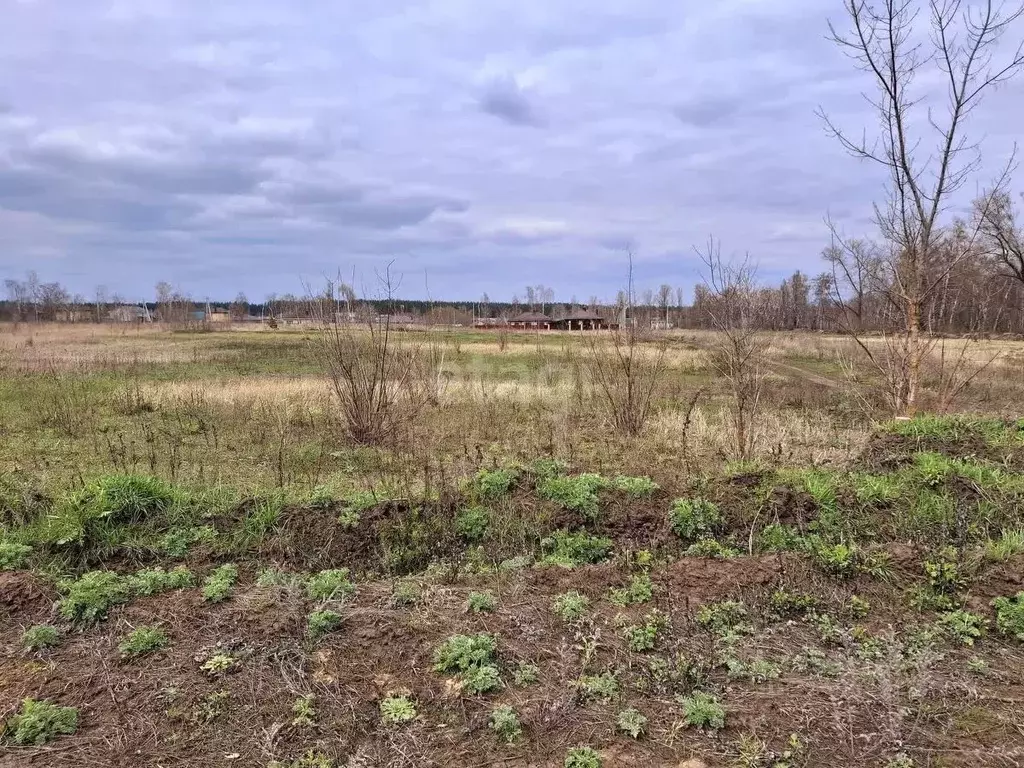 Участок в Воронежская область, Воронеж ул. Совхозная (6.1 сот.) - Фото 0