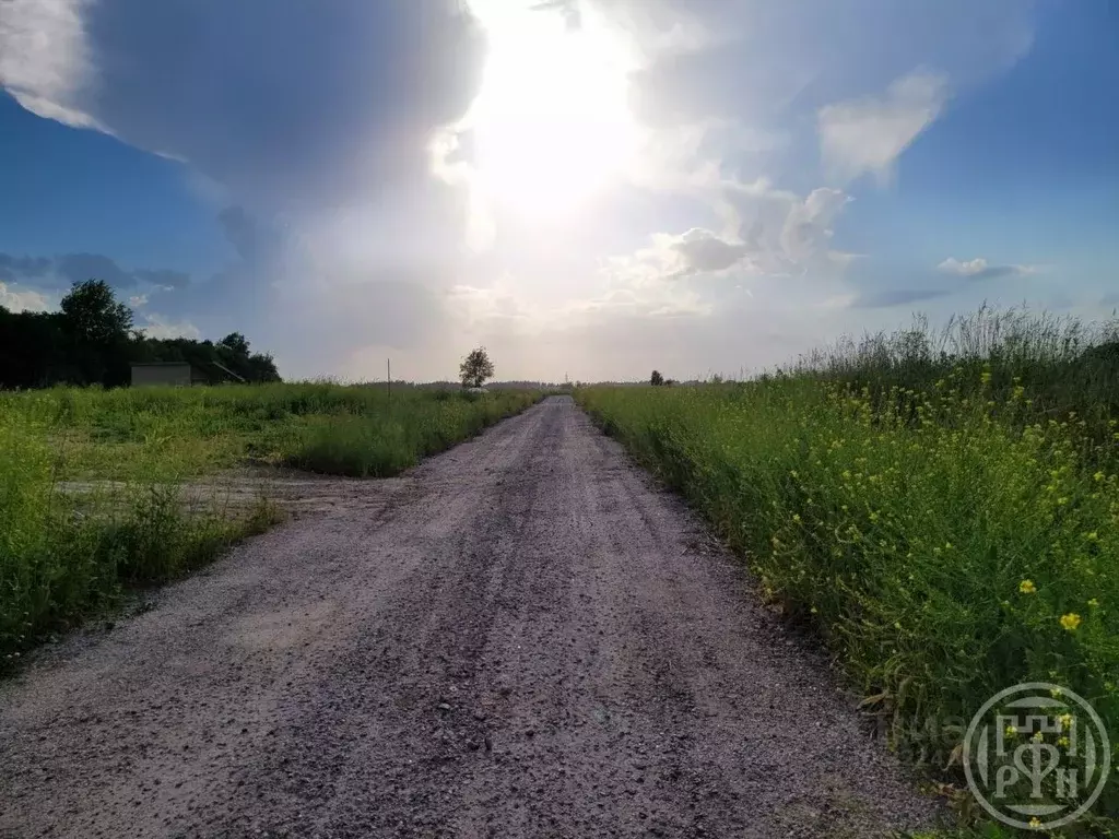 Участок в Ленинградская область, Ломоносовский район, Оржицкое с/пос, ... - Фото 0