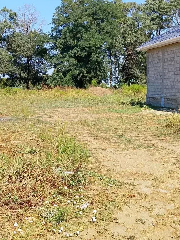 Участок в Краснодарский край, Темрюк ул. Ильи Павленко (5.0 сот.) - Фото 2