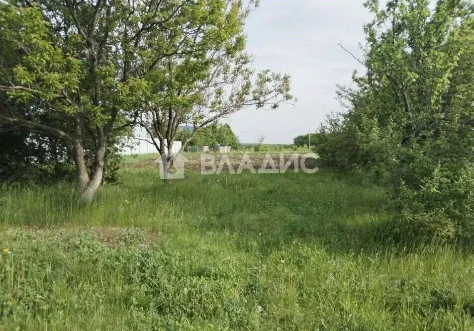 Участок в Воронежская область, Хохольский район, с. Гремячье ... - Фото 1