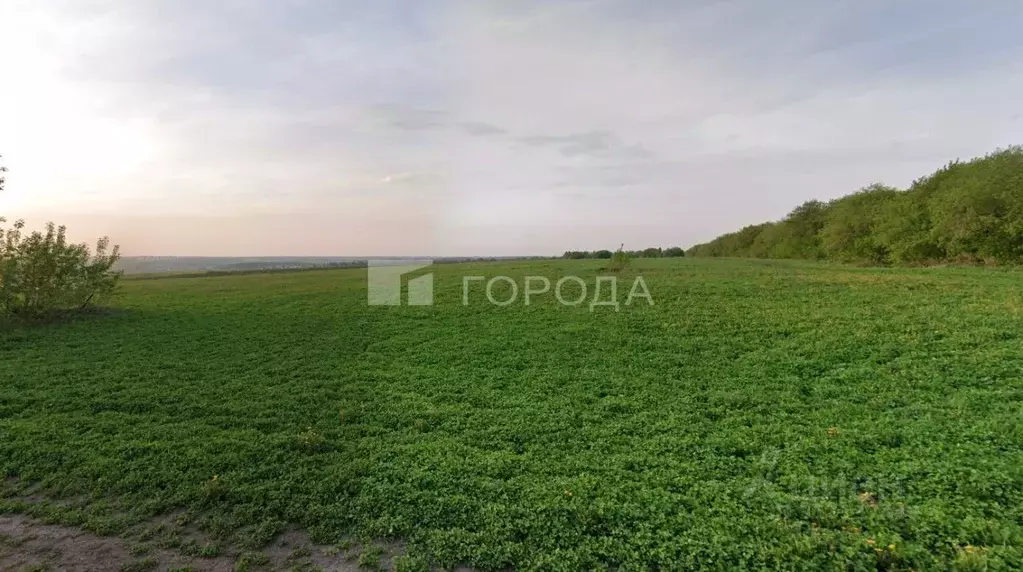 Участок в Новосибирская область, Новосибирский район, Каменский ... - Фото 0