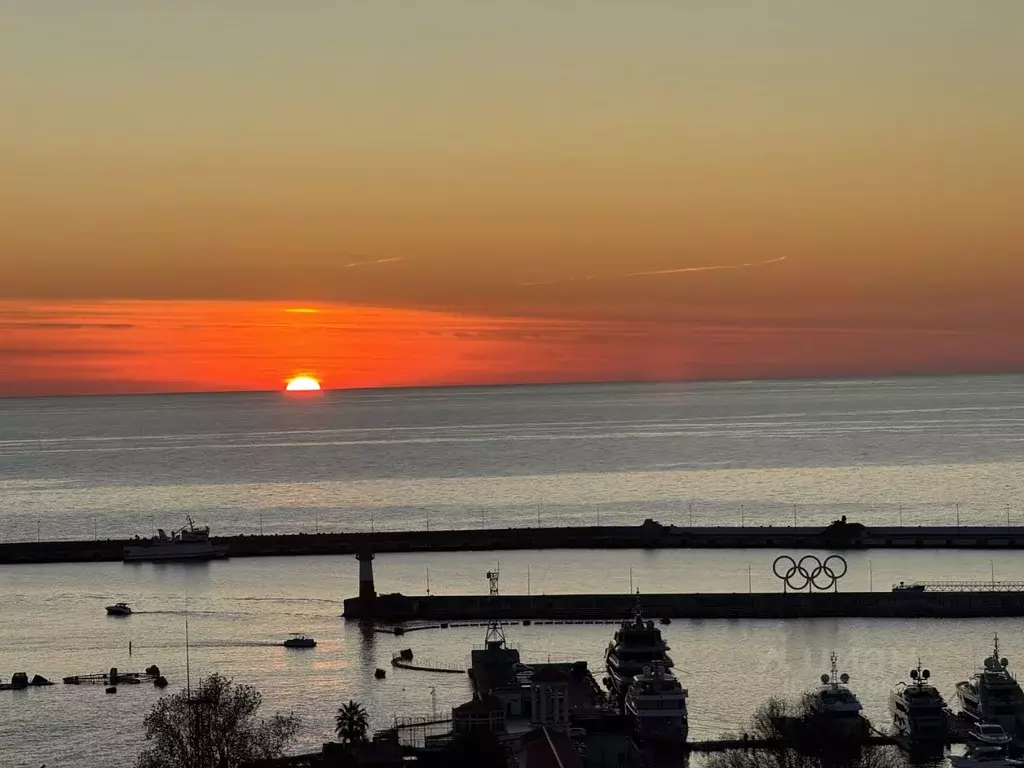 Студия Краснодарский край, Сочи Центральный мкр, ул. Первомайская, 1 ... - Фото 1