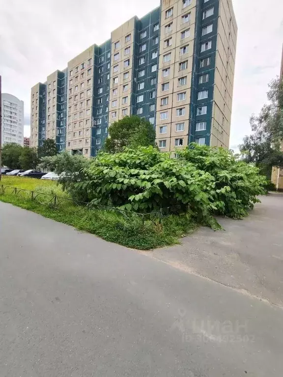 Комната Санкт-Петербург просп. Энтузиастов, 39К1 - Фото 1