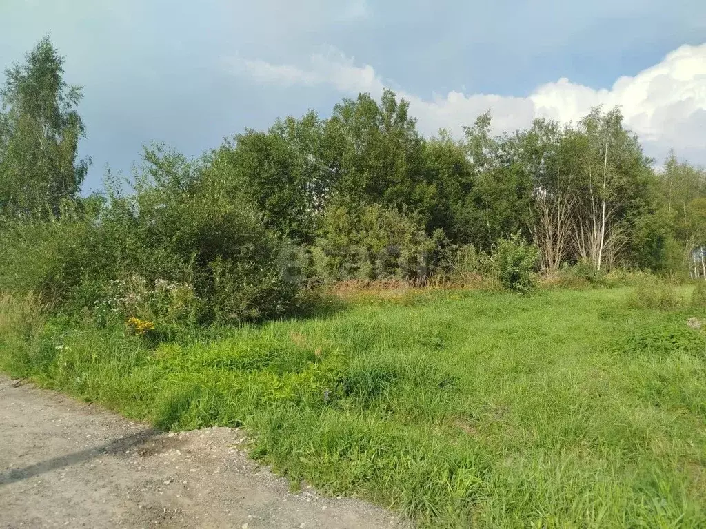 Участок в Владимирская область, Петушинское муниципальное образование, ... - Фото 1