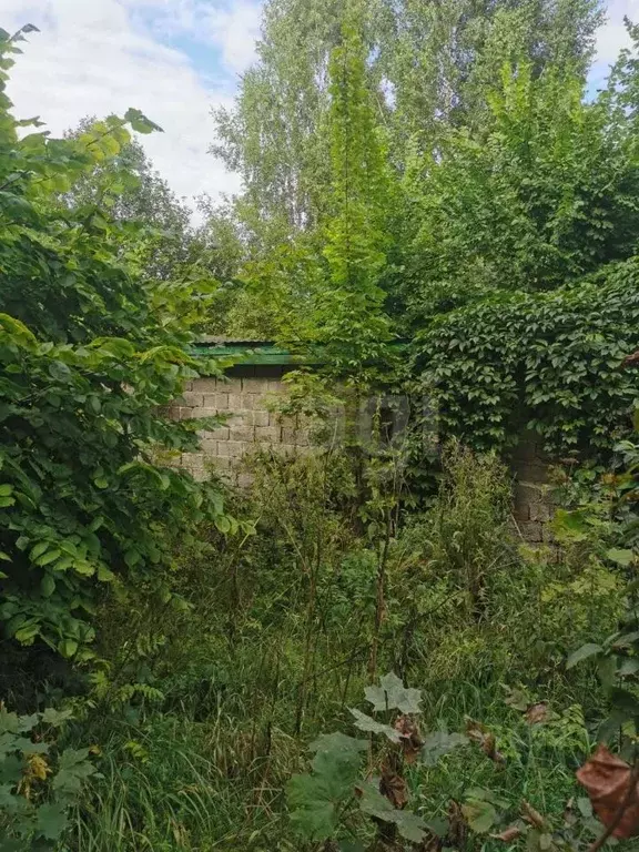 Участок в Башкортостан, Уфа городской округ, с. Нагаево ул. Майи ... - Фото 1