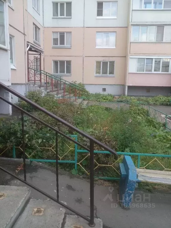 1-к кв. Омская область, Омск Омская ул., 195 (38.0 м) - Фото 1