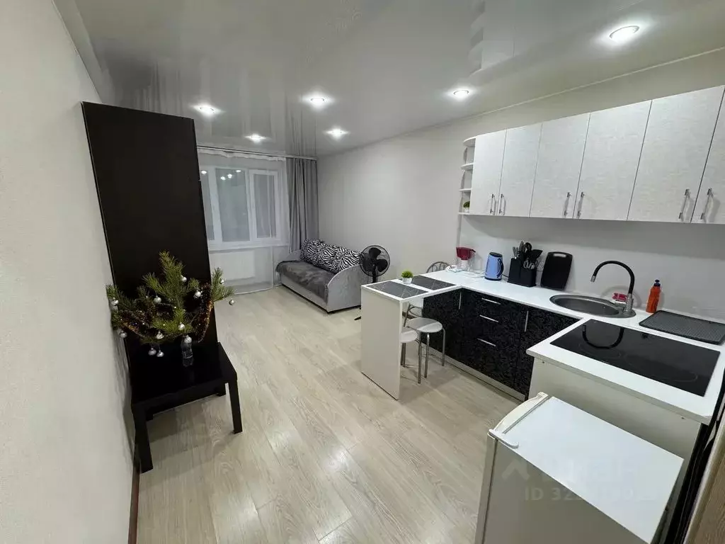 Студия Кировская область, Киров Заводская ул., 4 (23.0 м) - Фото 2