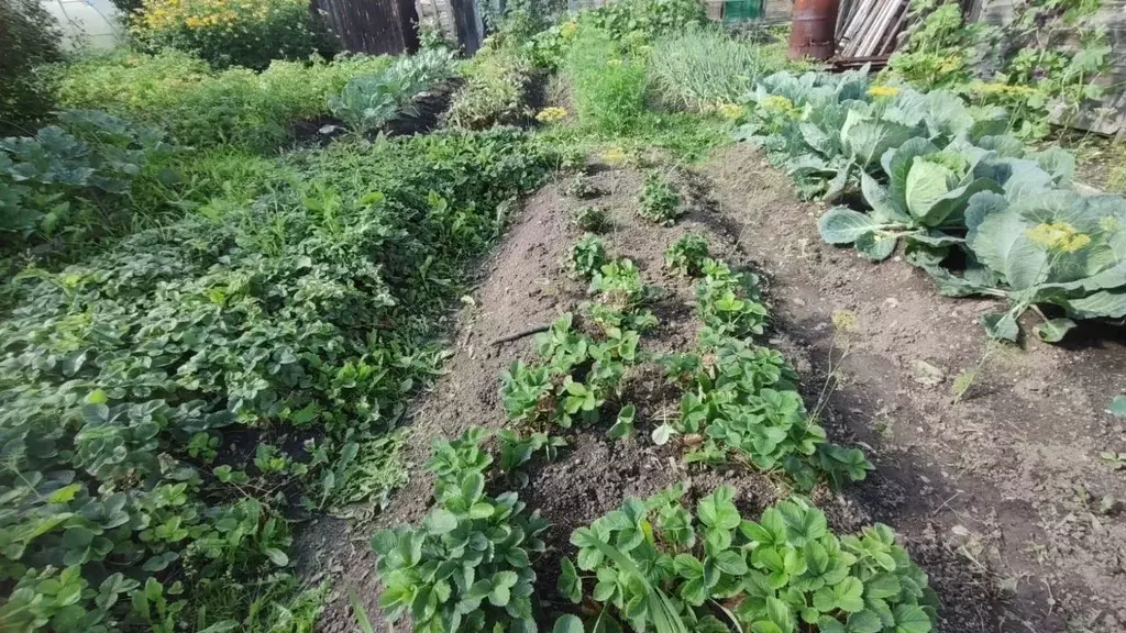 Дом в Свердловская область, Ревда Солнечное СОТ,  (20 м) - Фото 2