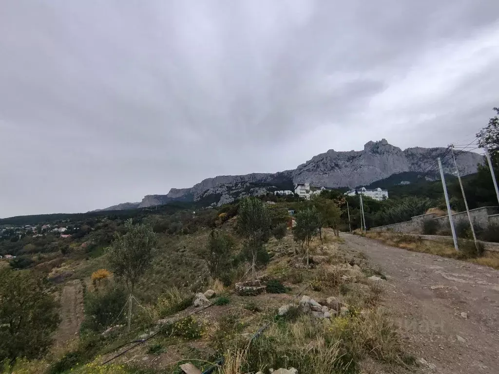 Участок в Крым, Ялта муниципальный округ, Кореиз пгт, пос. Мисхор  ... - Фото 1