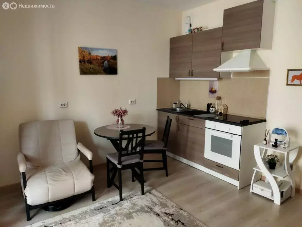 Квартира-студия: Мурино, бульвар Менделеева, 4 (24 м) - Фото 1