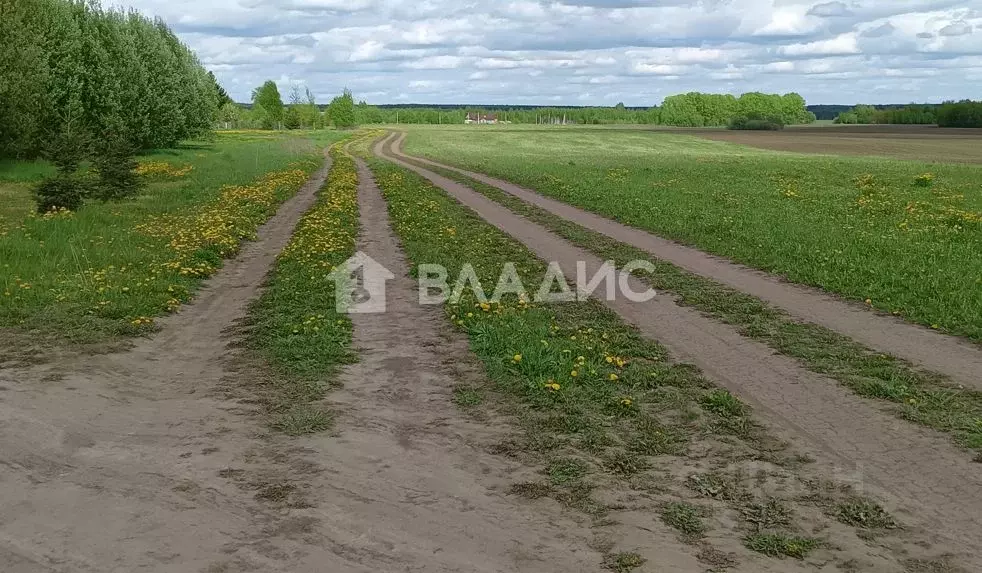 Участок в Владимирская область, Суздальский район, Селецкое ... - Фото 0