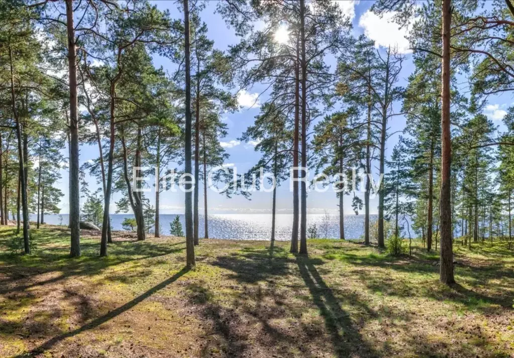 Участок в Санкт-Петербург пос. Репино,  (57.0 сот.) - Фото 1