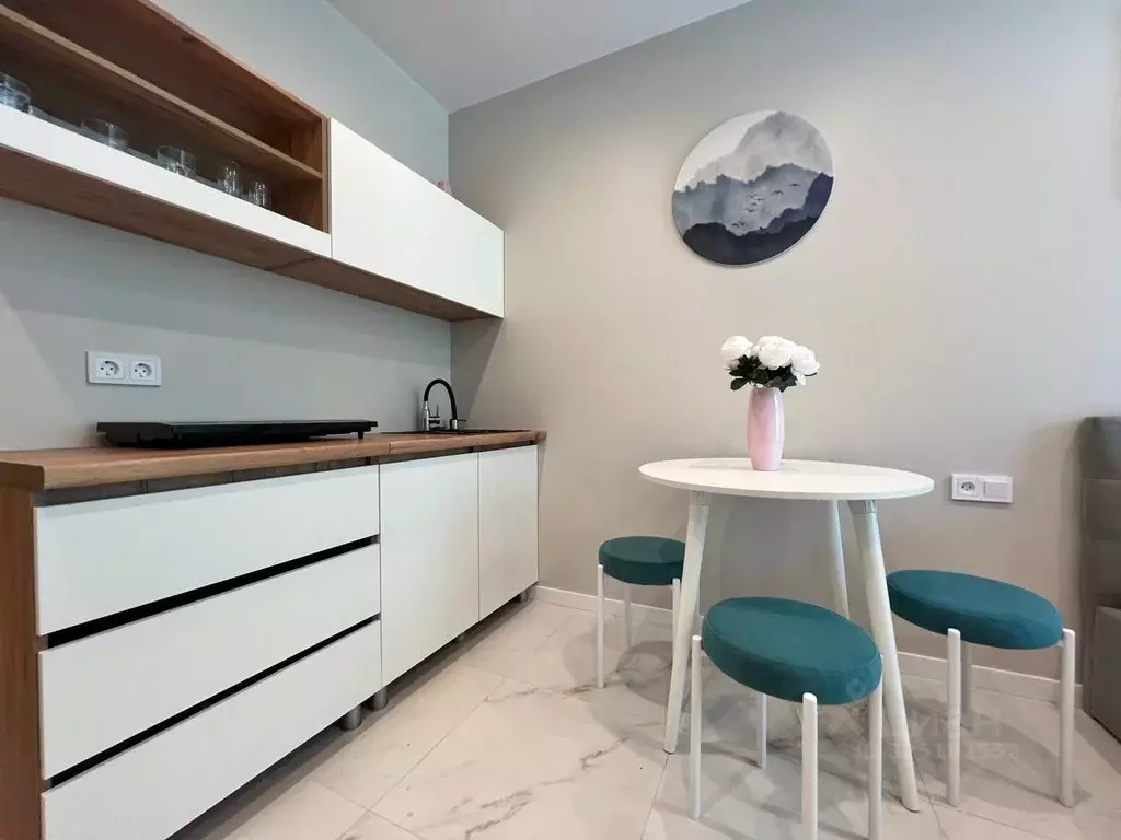 Студия Краснодарский край, Сочи ул. Искры, 88к3 (29.0 м) - Фото 2