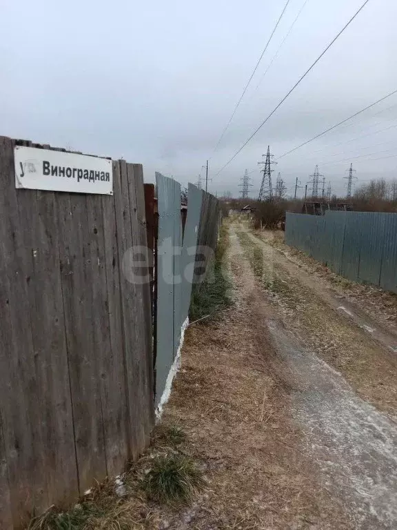 Участок в Вологодская область, Вологда Содема садоводческое ... - Фото 2