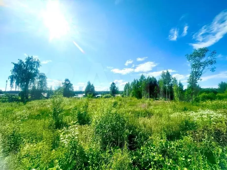 Участок 9,3 сот. (ИЖС) - Фото 1
