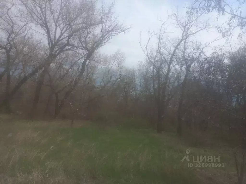 Участок в Волгоградская область, Дубовка ул. 30 лет Победы (8.0 сот.) - Фото 1