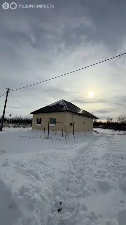 Дом в Оренбург, СТ Авиатор-2, 520 (65 м) - Фото 2