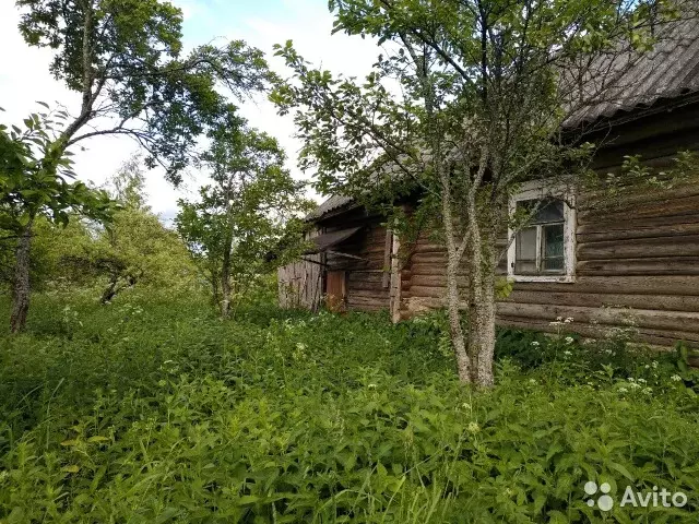 Дом в Новгородская область, Солецкий район, д. Велебицы (50.0 м), Купить дом Вел