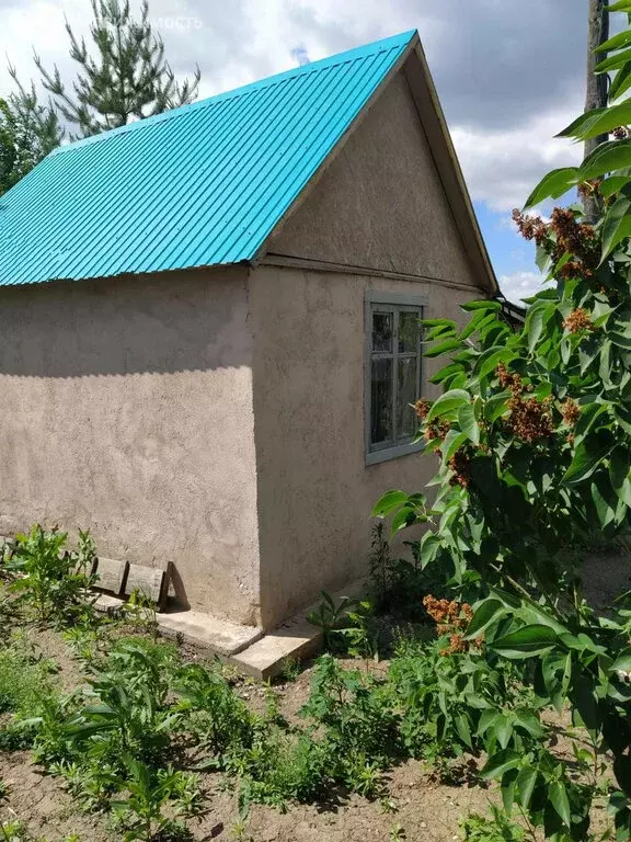 Дом в Оренбургский район, Степановский сельсовет, СНТ Клуб имени ... - Фото 1