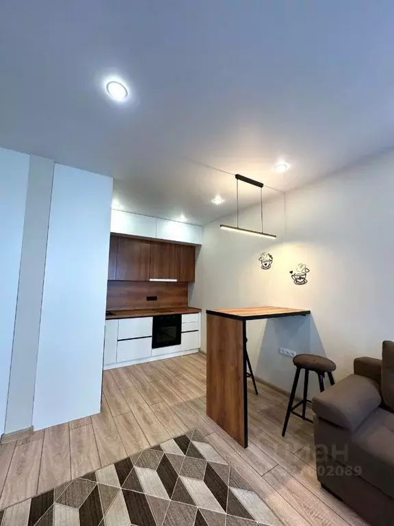 Студия Омская область, Омск ул. Герцена, 99 (30.0 м) - Фото 1