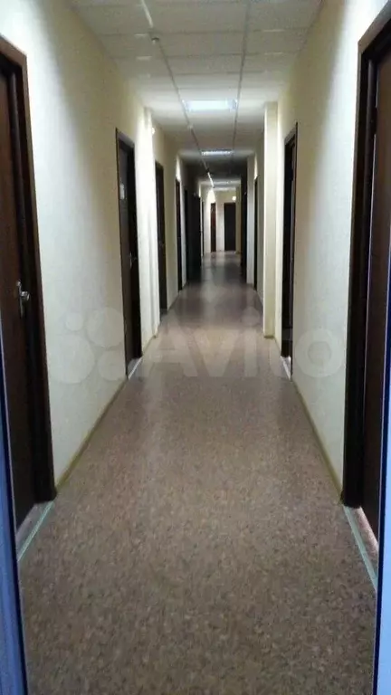 Действующий арендный бизнес, часть этажа офисного - Фото 0