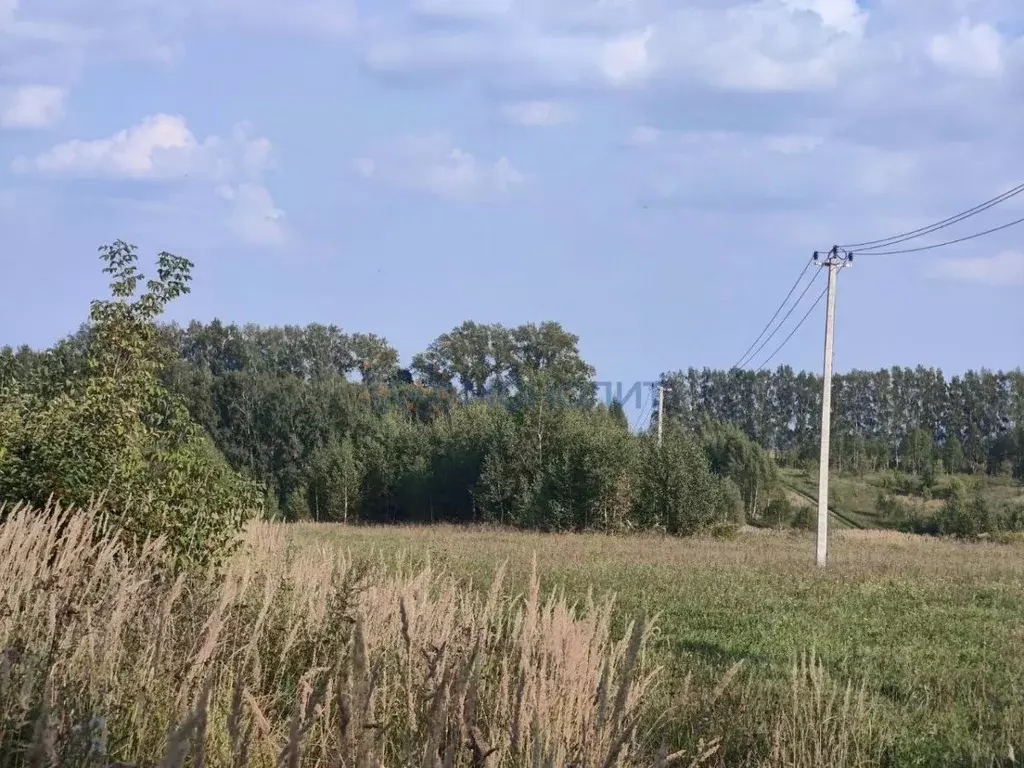 Участок в Нижегородская область, Нижний Новгород д. Сартаково, ул. ... - Фото 2