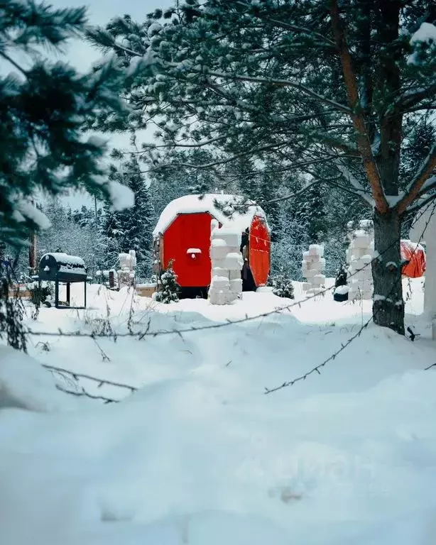 Дом в Московская область, Щелково городской округ, Море кп  (54 м) - Фото 1
