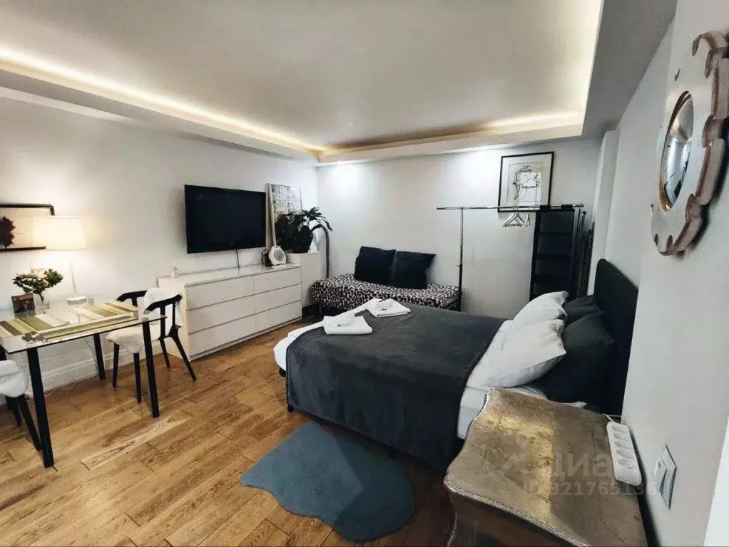 1-к кв. Санкт-Петербург Адмиралтейский просп., 10 (30.0 м) - Фото 2