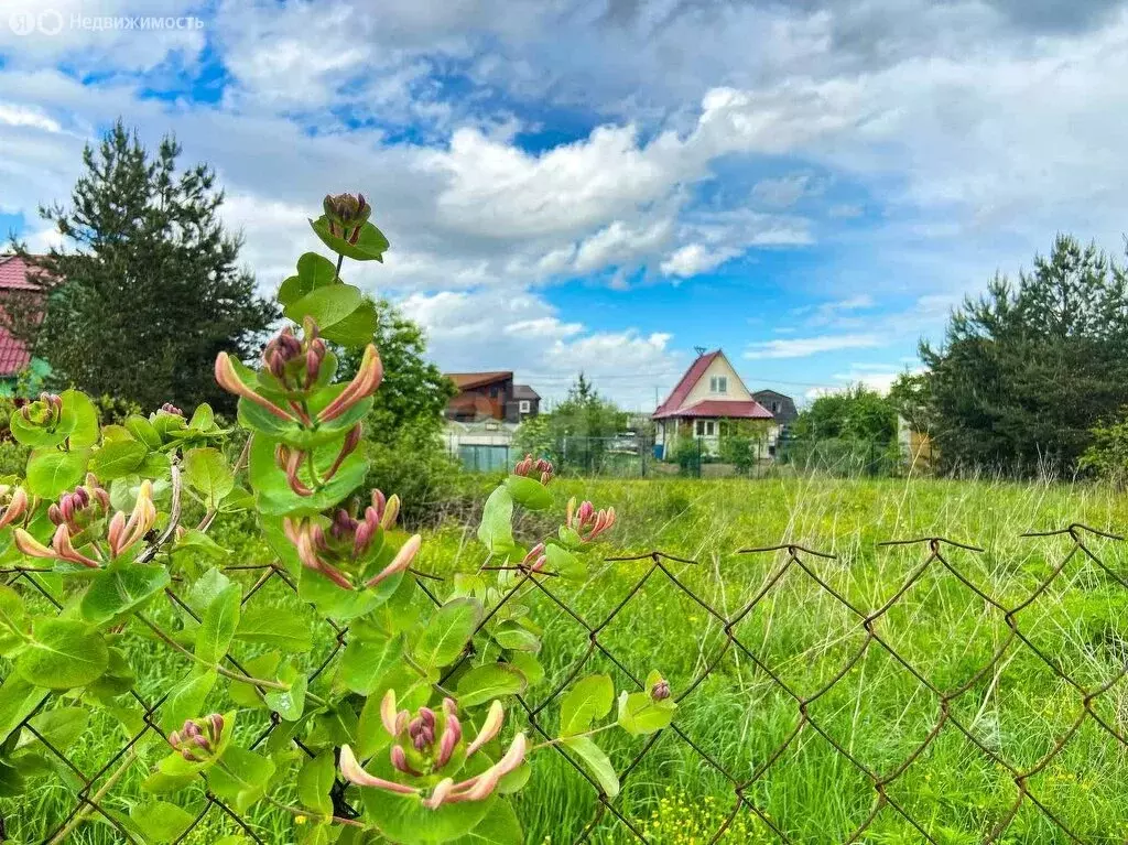 Участок в Аннинское городское поселение, садоводческое некоммерческое ... - Фото 1