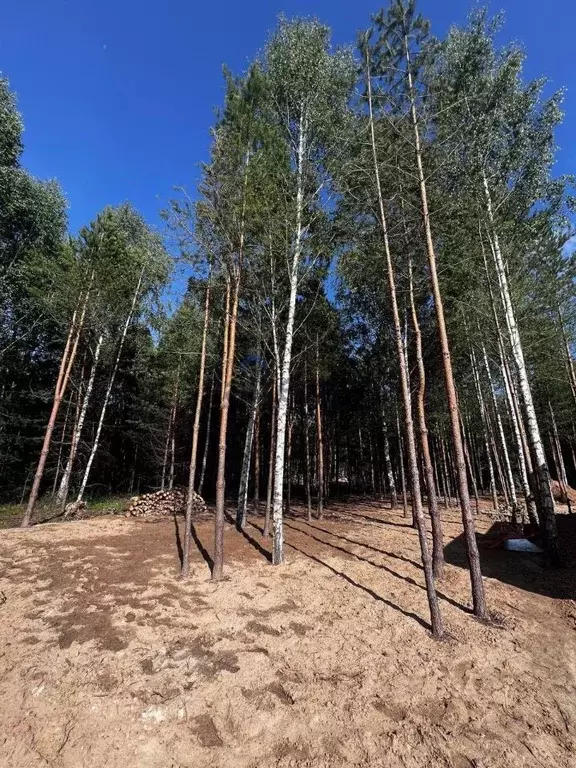 Участок в Татарстан, Лаишевский район, Орловское с/пос, д. Орел ул. ... - Фото 1