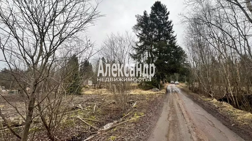 Участок в Выборгский район, Гончаровское сельское поселение, посёлок ... - Фото 2