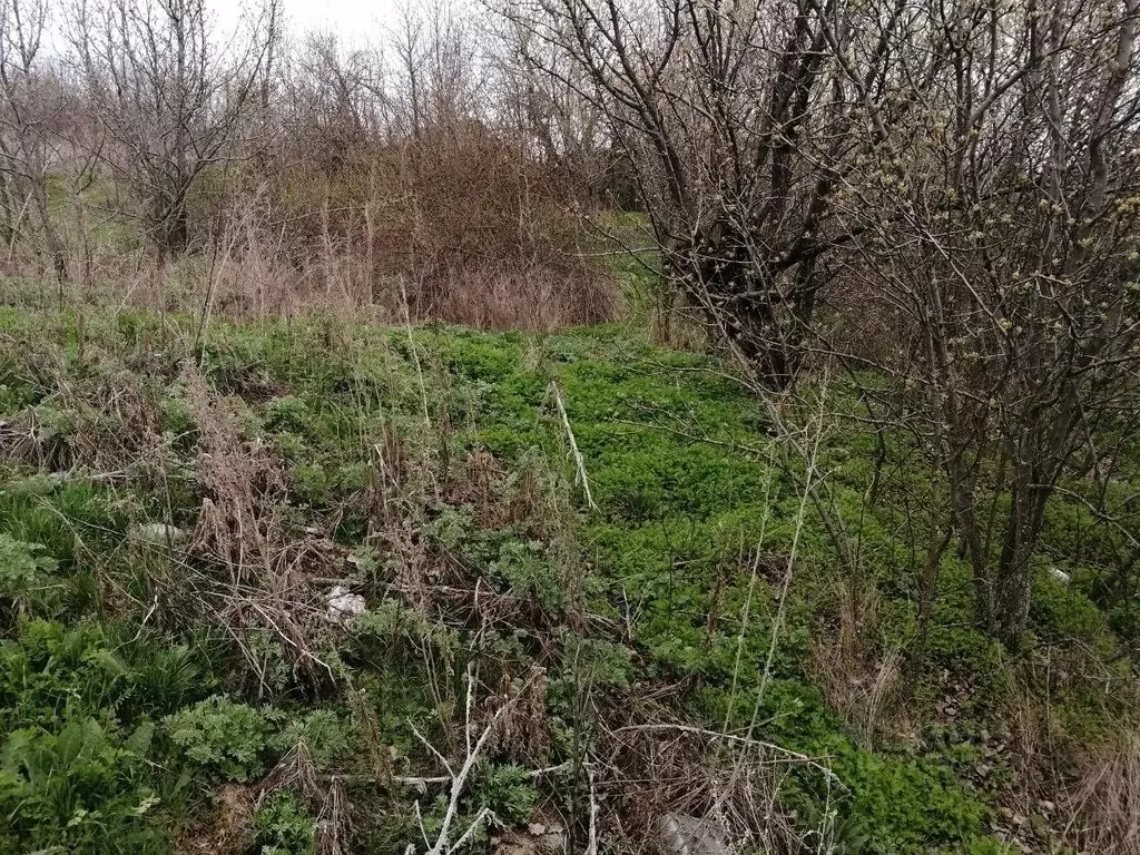 Участок в Волгоградская область, Суровикинский район, Нижнечирское ... - Фото 2