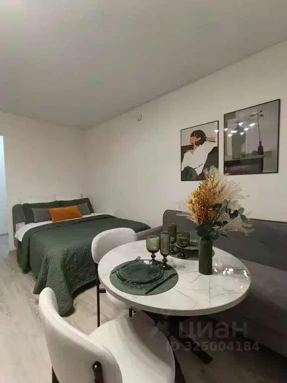 Студия Челябинская область, Челябинский городской округ, пос. Западный ... - Фото 1